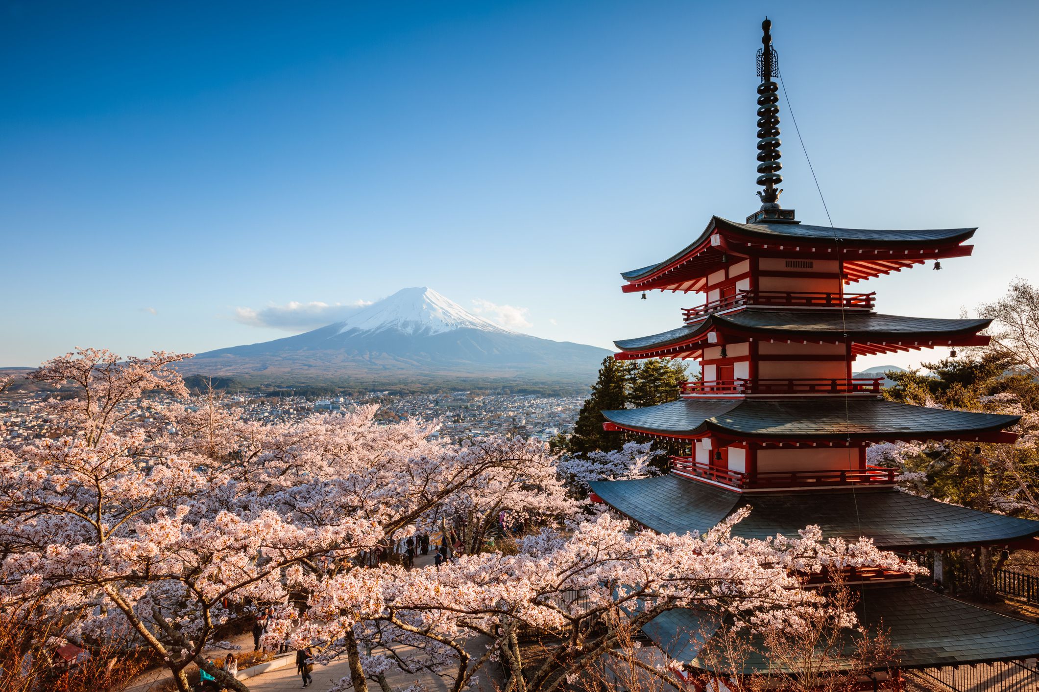 Japan Journey